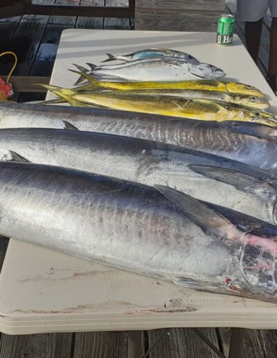Catching with Coconut Reef Fishing