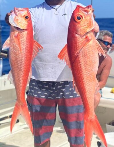 Coconut Reef Fishing